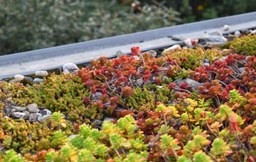 the cost of Cullen green roof installation