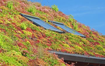 Cullen living roof systems