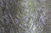 Cullen fibreglass roof work